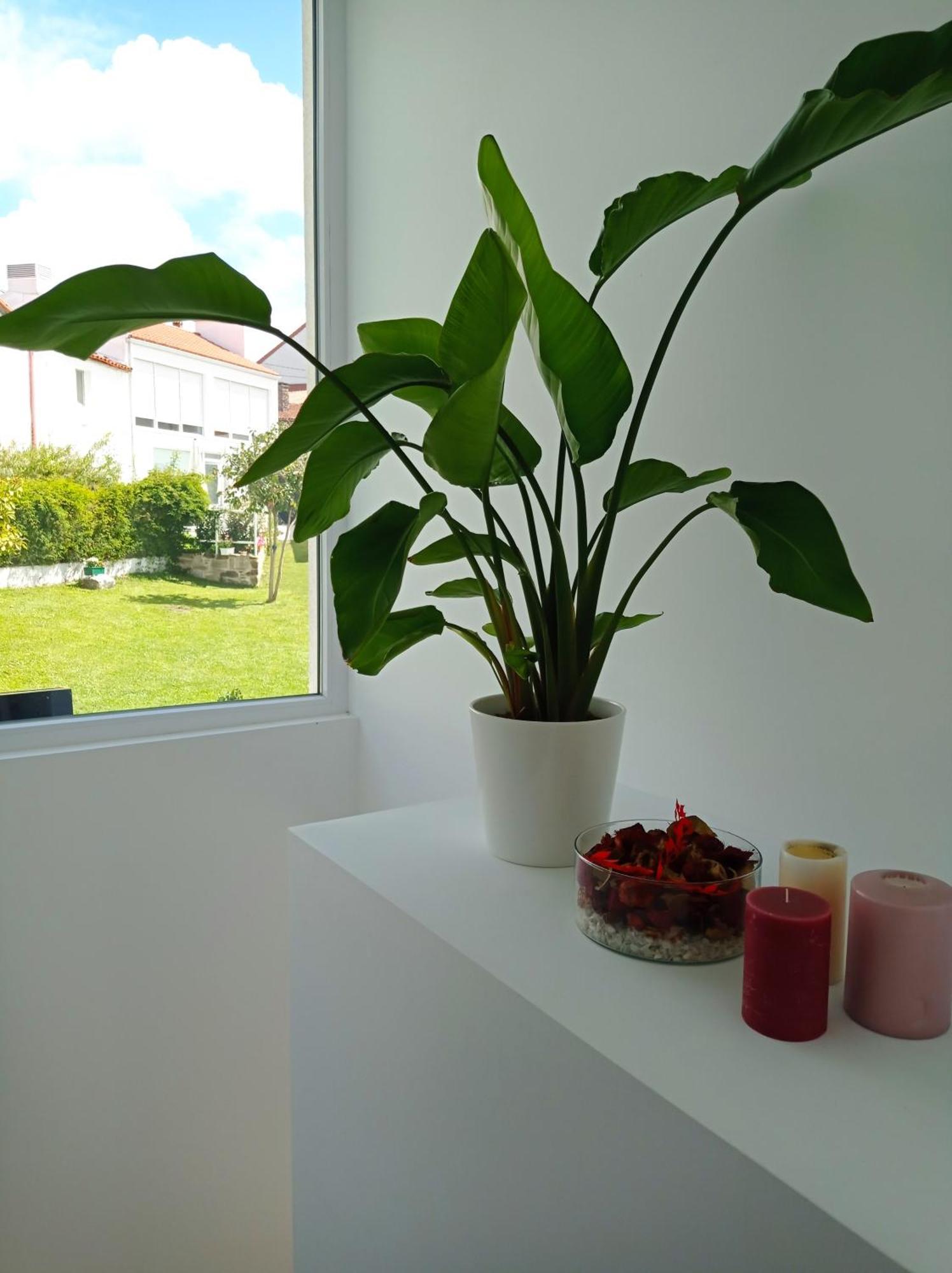 Lar Jardin - Parking Privado * San Giacomo di Compostella