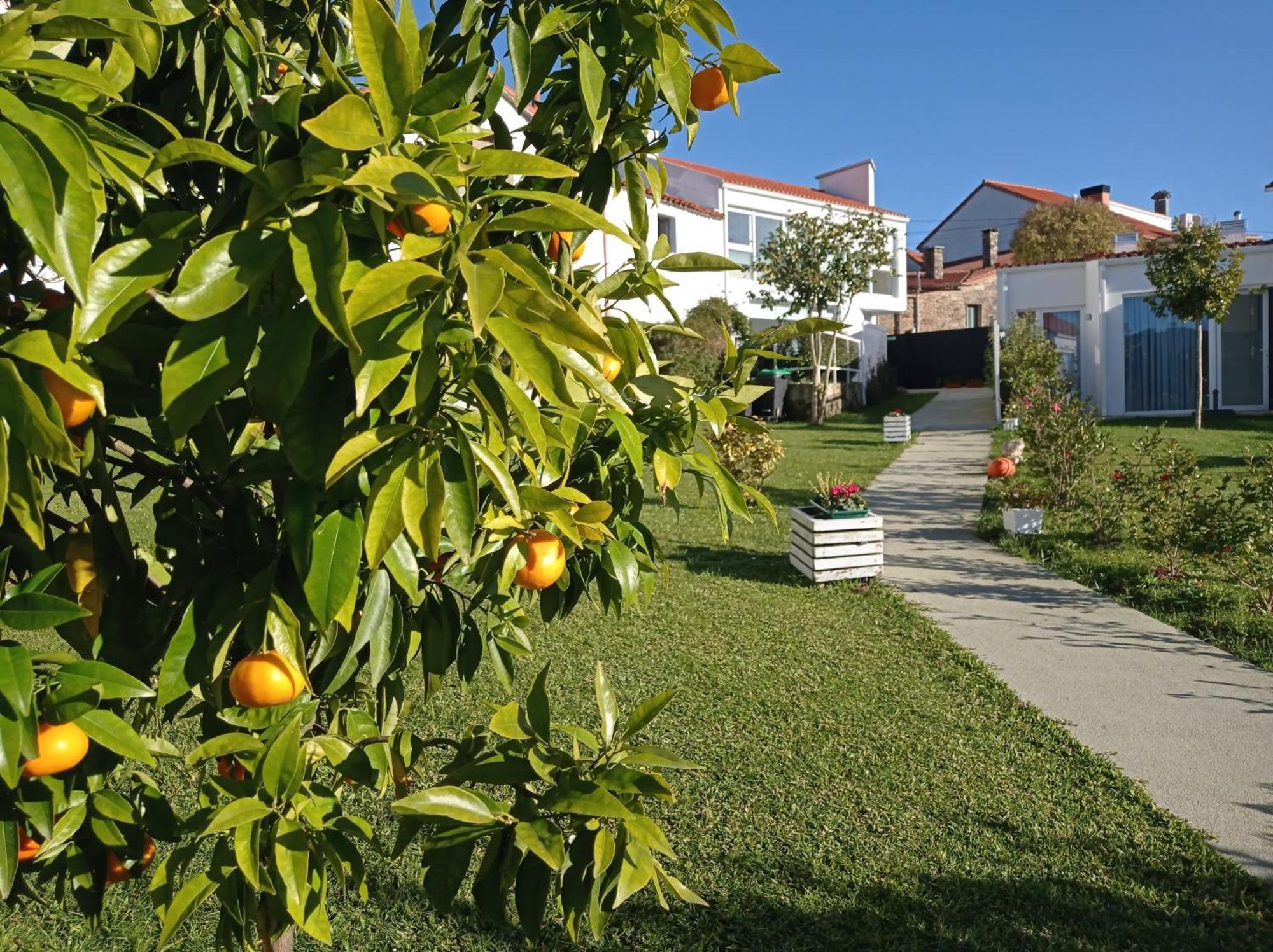 Holiday home Lar Jardin - Parking Privado