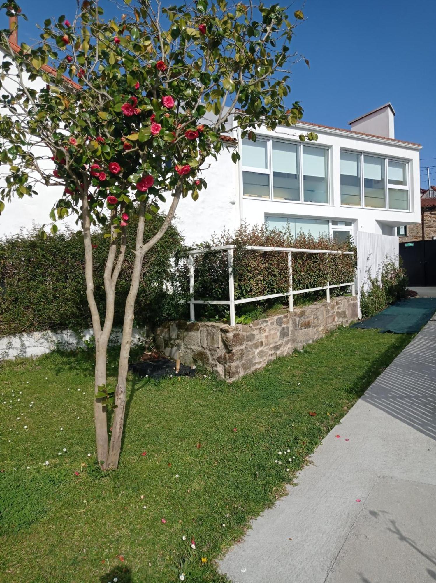 Lar Jardin - Parking Privado * Santiago de Compostela